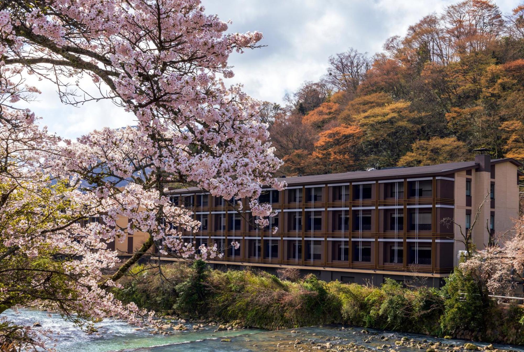 Hotel Indigo Hakone Gora By Ihg Extérieur photo