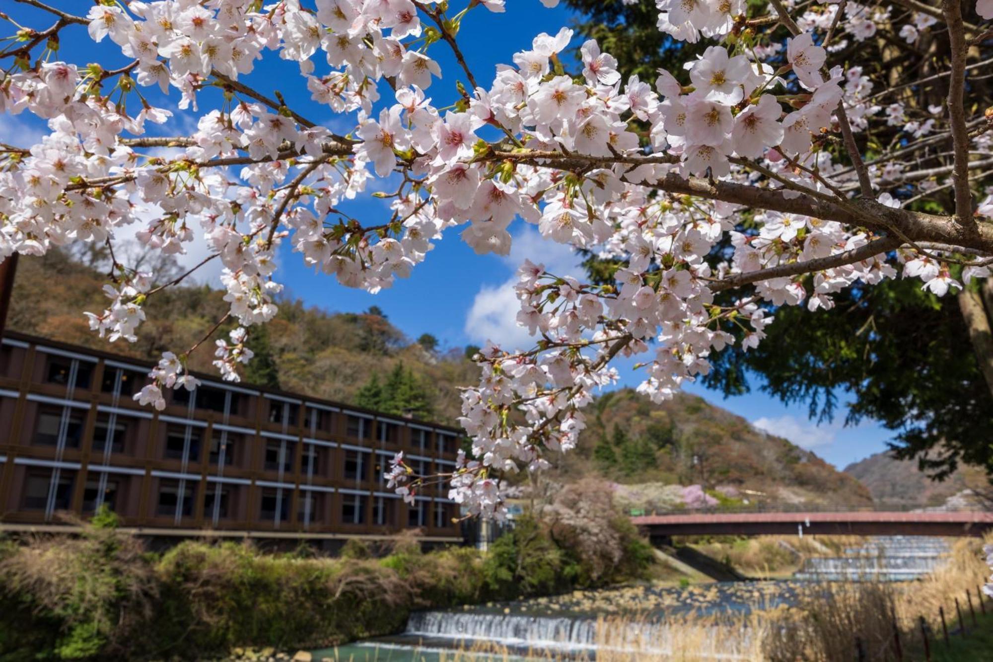 Hotel Indigo Hakone Gora By Ihg Extérieur photo